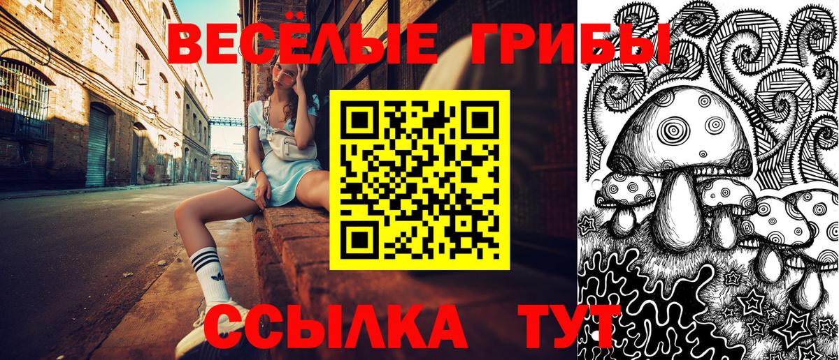 Галлюциногенные грибы Psilocybine cubensis Нижний Новгород