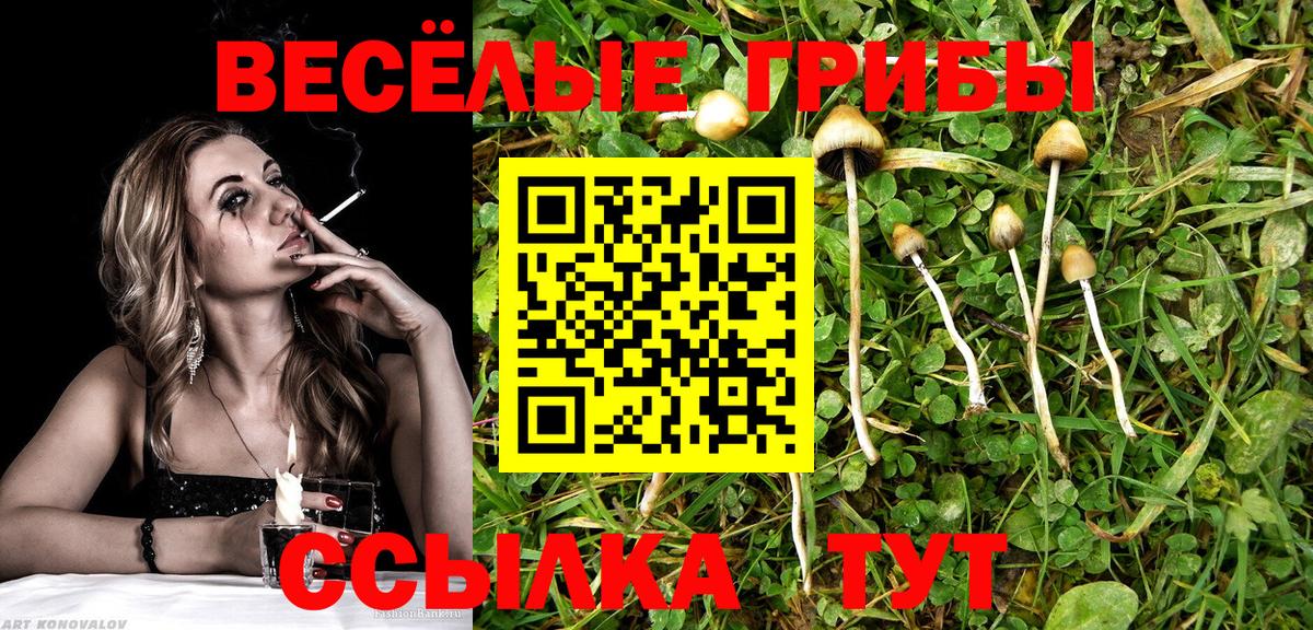 Нижний Новгород  Гашиш  Меф МЯУ МЯУ   Экстази  МЕФ  НБОМе  Вход с VPN  COCAIN 