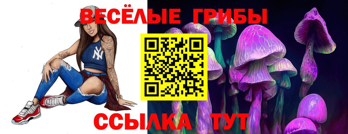 купить наркотики цена  Вход с VPN  Нижний Новгород  Псилоцибиновые грибы Cubensis  Псилоцибиновые грибы ЛСД 